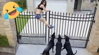 Instant Regret Fails Compilation 2026 | Funny & Hilarious People Life 😆 Best Fail Of The Week #36