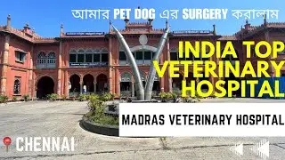 India top veterinary hospital | surgery cost |Jojo surgery day | Madras Veterinary Hospital Tanuvas