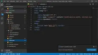 Dynamic type vs Static Type (Practical