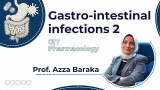 Art of pharmacotherapy of gastrointestinal infections 2