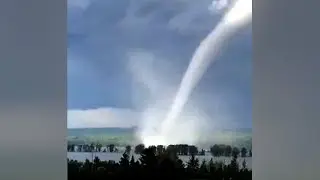 Sudden tornado rips through Ottawa's east end