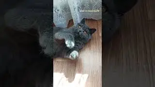 за небольшую символическую плату ☺️