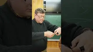 Зимующие птицы Подмосковья на Звенигородской станции кольцевания. Wintering birds (Moscow region).