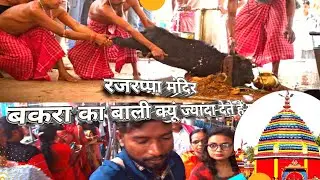 राजरपा मंदिर बकरा का बाली क्यूं ज्यादा देते हैं यहां || Rajrapa Mandir || Rajrapa Mandir Ramgarh