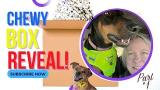 Chewy Box Reveal  Part 1. Kayle and her sisters so EXCITED to see what's in the BOX! Day in a life!