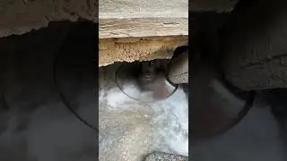 Ancient Flour Mill: Water-Powered Magic | Water-Powered Wheat Grinding: Old Tech Still Works!