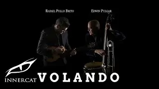 Rafael Pollo Brito & Edwin Pulgar - Volando (Cover Video)
