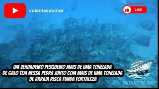 (Valentes do mar) ENCONTRAMOS UMA RISCA RICA DE TODOS TIPOS DE PEIXES OLHA ESSA PERFEIÇÃO 🤿🐟⚓🙌🏽