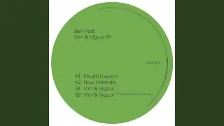 Vim & Vigour (Original Mix)