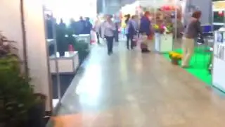 Flower Expo -2016