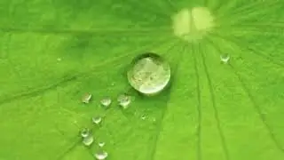 different types of condensation