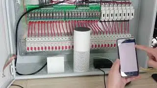 【home automation DIY by Node Red#10】voice control with Amazon alexa