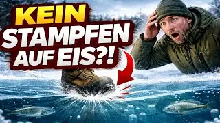 SCHLUSS MIT STAMPFEN! Fische hören dich auf 20 Meter durchs Eis – und hassen es.