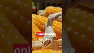 Corn Always Has Even Rows!