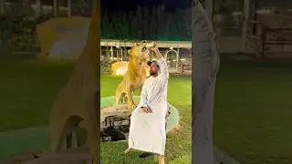 Dubai Sheikh&rsquo;s Wild Routine: Cheetahs & Luxury ! #shortsvideo