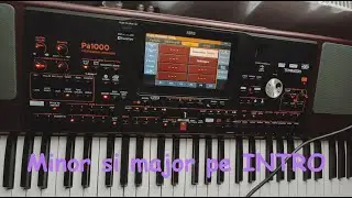 Minor si Major pe INTRO - Tutorial pa1000
