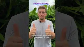 Все честно и прозрачно#news#trendingshorts#новости#trend#рекомендации#рек#russia#politics#putin