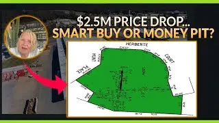 Deal Review: $2.5M price drop... Smart buy&nbsp;or&nbsp;money&nbsp;pit?