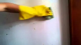Sugar soap, the wonders of.