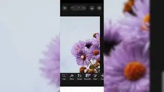 Kelas Master Pengeditan Warna Potret HDR Photoshop | Tampilan 4K Canon R5🔥#n925k#970