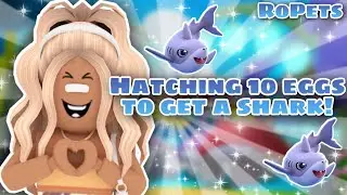 HATCHING *10 EGGS* 🥚 TO TRY AND GET A *SHARK* 🦈 IN ROPETS! | Roblox RoPets 🐾