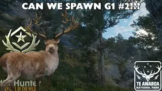 CAN WE SPAWN GREAT ONE RED DEER #2??? (LIVE) - theHunter: Call of The Wild