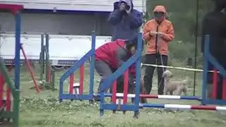 セナ／ルモンド杯／20070506