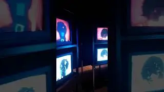 Multi-channel video installation 