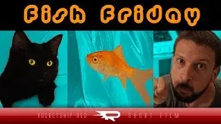 Fish Friday // Rocketship Red