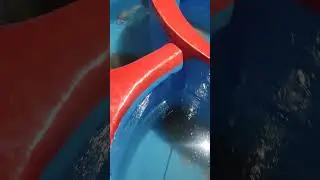 sea environment