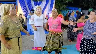 #romanhavası böyle oynanır işte şhow yeni #romandüğünleri #2024 #toprakprodüksiyon #dance