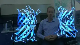SROP 2015: Measurement of Dimerization Forces in Green Fluorescent Protein using Molecular Dynamics