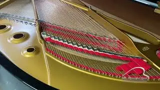 Self Play Piano, Steinway Model B, PianoDisc Prodigy II 2024
