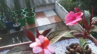 COMO DECORAR UMA JARDINEIRA, COM EMPATES.