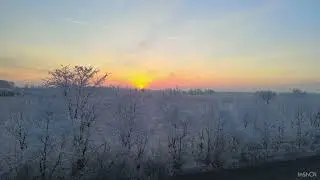 vereiste Baumreihe bei -6&deg; in Richtung Sonne
