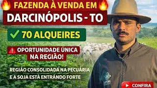 FAZENDA À VENDA EM DARCINÓPOLIS - TO 70 ALQUEIRES OPORTUNIDADE ÚNICA NA REGIÃO! REGIÃO CONSOLIDADA 