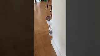 Waking up with Bean - Day 1,917