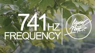 DETOX MUSIC 741HZ | GUITAR + TONGUE DRUM  | Boost Immune System | AWAKEN INTUITION