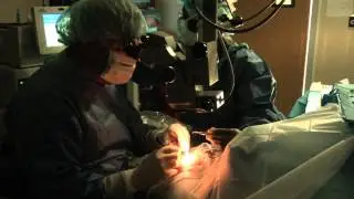 First Patient in Florida Receives Mini Telescope Implanted in Eye for Macular Degeneration