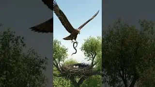 सतर्क चील और चालाक साँप👍🔥#viral#short#kahanilab#cartoon#kids#hindikahani#3d#eagle#animation