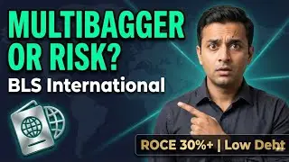 BLS International Stock Analysis |🤫 Hidden Gem or High Risk🤯? (Visa & Digital Services Multibagger)