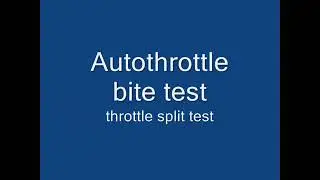 Boeing 737-300 autothrotle bite test