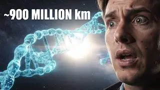Your DNA Is ~900 million km Long! Could Reach the Sun 600 times||#biology #health #humanbody