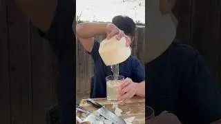 Harvesting coconut water from a young coconut! #coconut