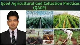 Good Agricultural and Collection Practices (GACP) #gacp #goodagriculturalpractices #qcsh