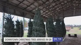 West Michigan Christmas tree farms ready for holiday season