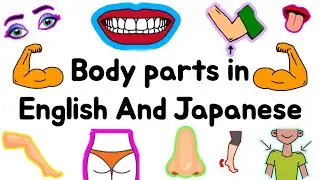 Body parts Name in Japanese and English ||learn Japanese for beginners|| #education