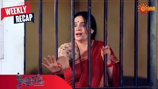 Nethravathi | Ep 535 - 540  | Weekly Recap | Udaya TV | Kananda Serial