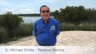 GTM Research Reserve says 