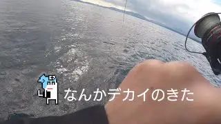2025年12月29日　天草五目釣り　今年ラスト釣行🐟️